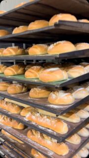 Recién salido del horno y directo a tus tostadas favoritas.

Crujiente por fuera, tierno por dentro… así es el pan de verdad de Ecohorno. 🥖💚
¿Lo hueles desde ahí?

.
.
.

#EcoHorno #PanRecienHecho #PanParaTostadas #PanArtesano #PanNatural #PanEcológico #HechoEnMadrid #PanConAlma #ProductoLocal #MadridFoodie #PanDeVerdad #SlowBakery #ObradorArtesanal #RealFoodSpain #PanBio #PanDelDía #PanConCorteza #DesayunosReales #ReelConSabor #HechoConAmor #GastronomíaSostenible #SinAditivos #PanCasero #FoodieMadrid #MadridEcológico #TostadasPerfectas #PanaderíaNatural #PanTradicional #DelCampoATuMesa #CrustLovers